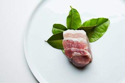 Cabeza de jabalí