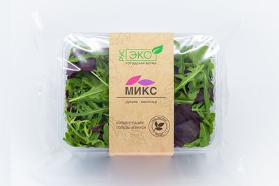 Ensalada en bolsa
